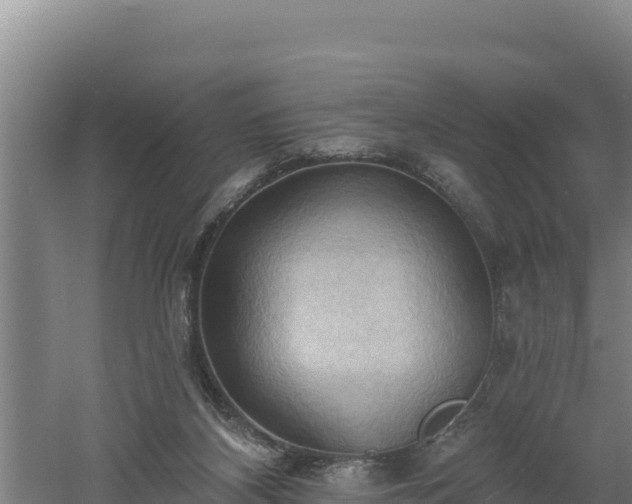 X0000060560116200511101613