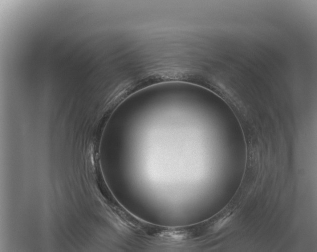 X0000060560117200511101613