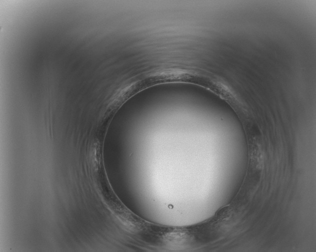 X0000060560119200511101613