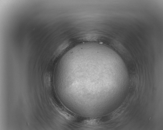 X0000060560120200511101613