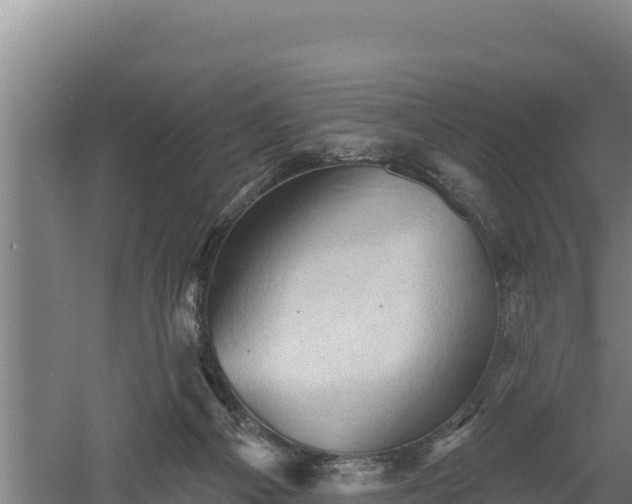 X0000060560121200511101613