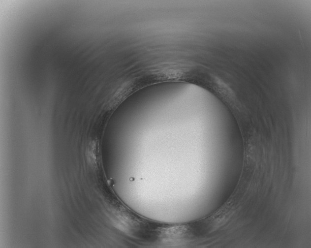 X0000060560122200511101613