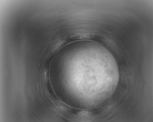 X0000060560123200511101613