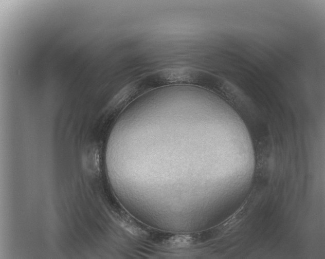 X0000060560124200511101613