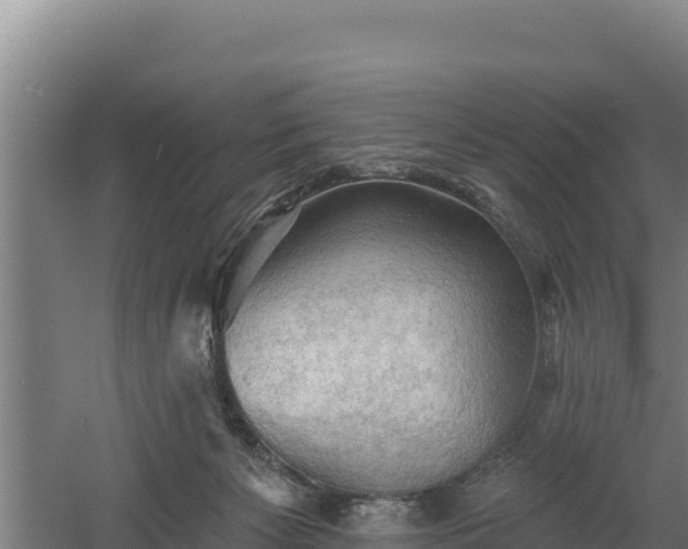 X0000060560125200511101613