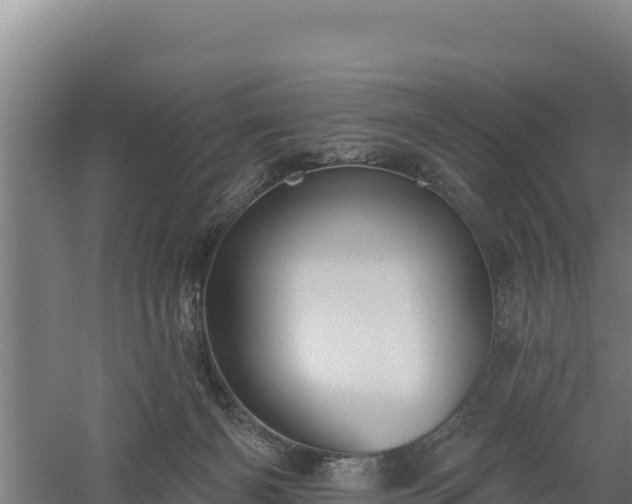 X0000060560126200511101613