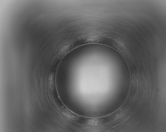 X0000060560127200511101613