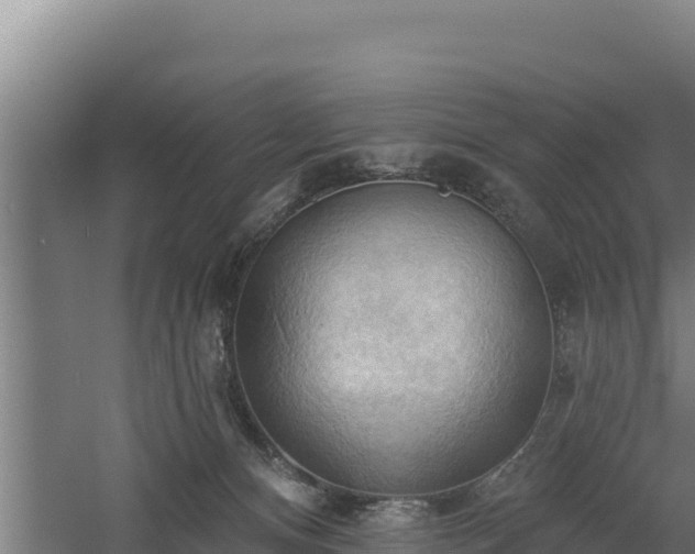 X0000060560128200511101613