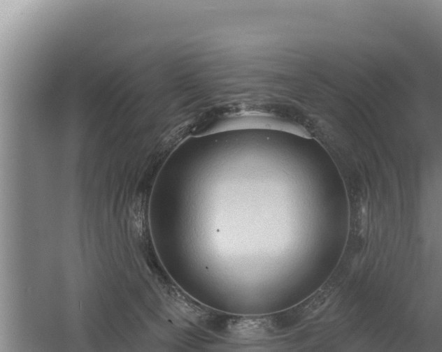 X0000060560129200511101613