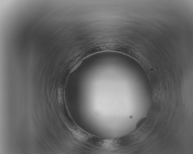 X0000060560130200511101613