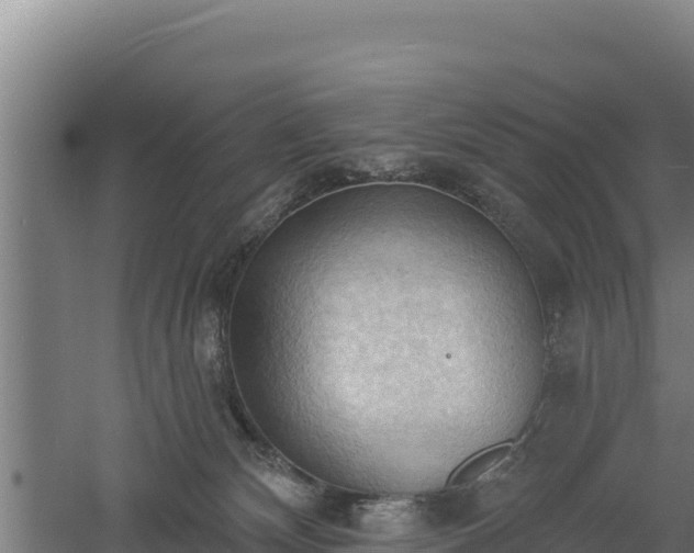 X0000060560132200511101613