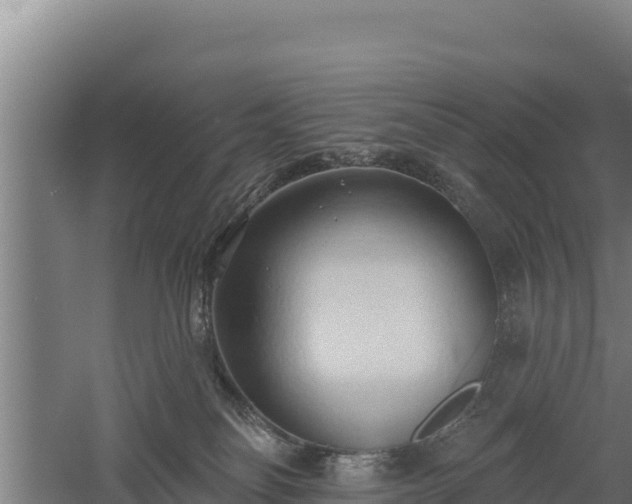 X0000060560134200511101613