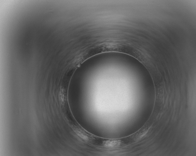 X0000060560135200511101613