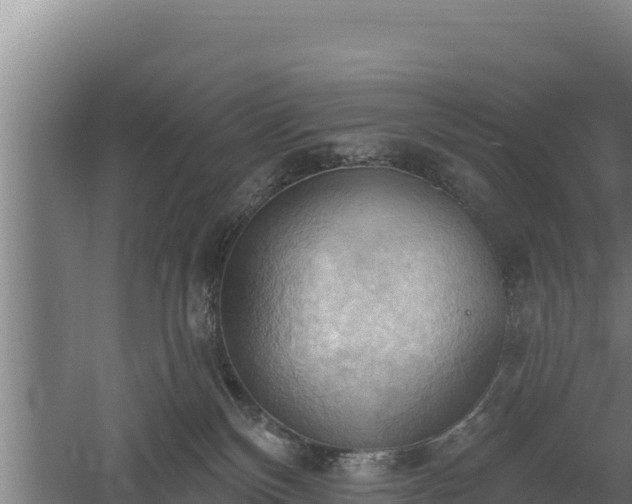 X0000060560136200511101613