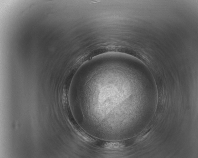 X0000060560137200511101613