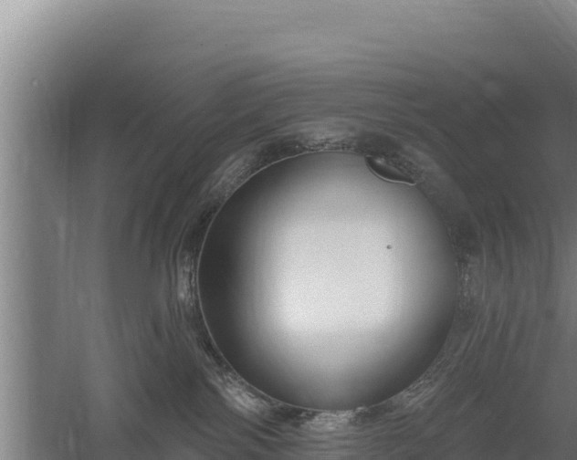 X0000060560138200511101613