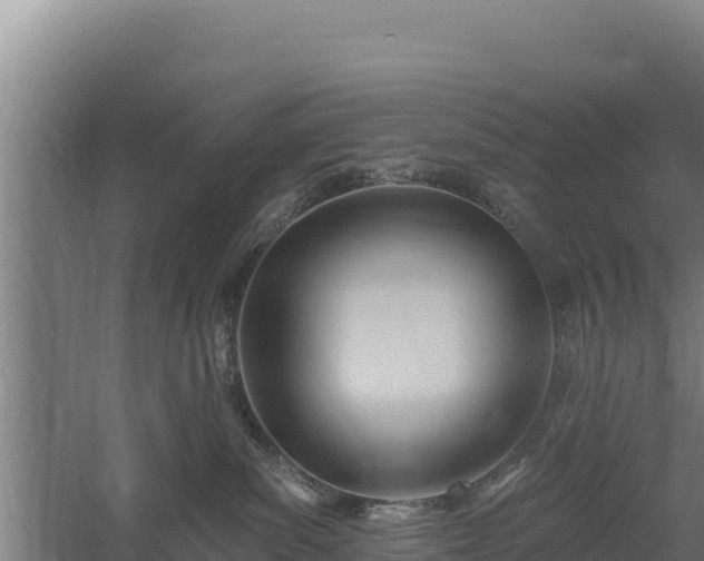 X0000060560139200511101613