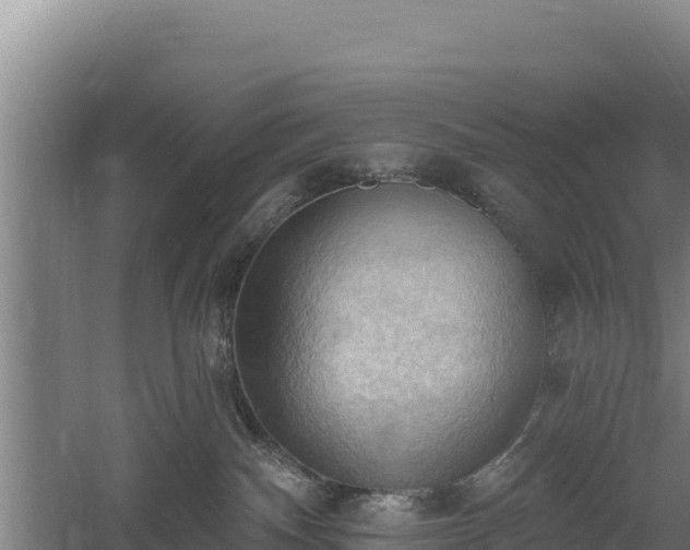 X0000060560140200511101613