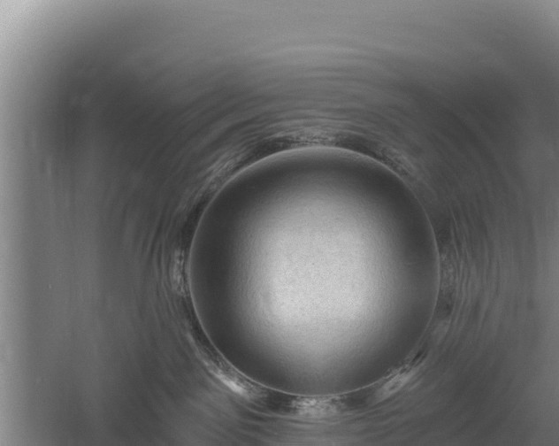 X0000060560141200511101613