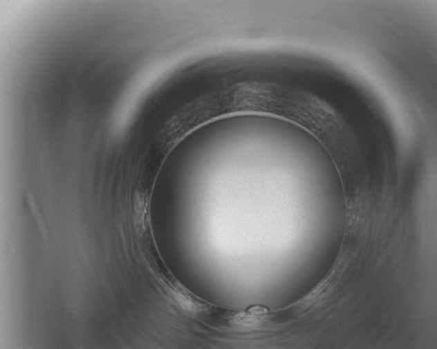 X0000060560142200511101613