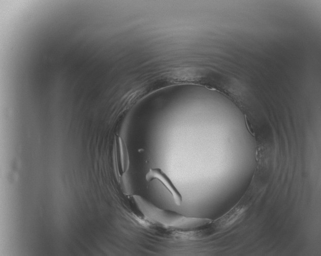 X0000060560143200511101613