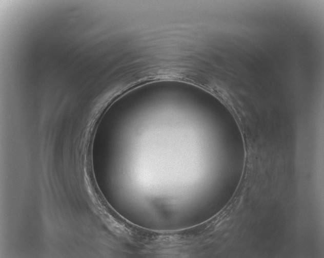 X0000060560145200511101612