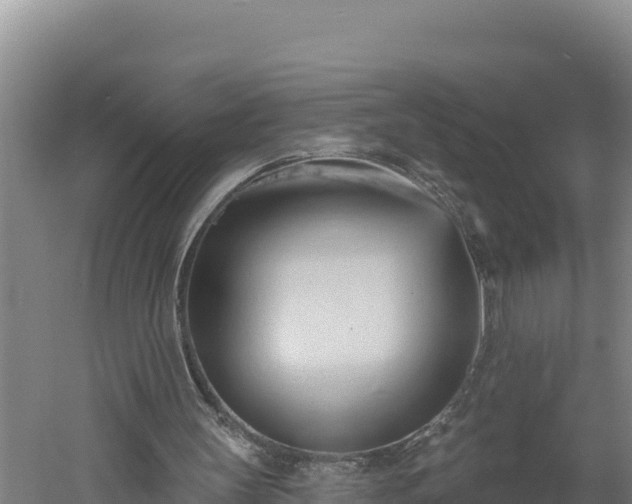 X0000060560147200511101612