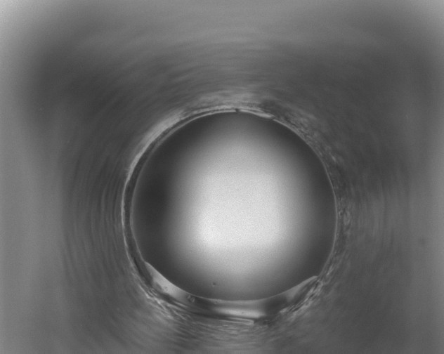 X0000060560148200511101612