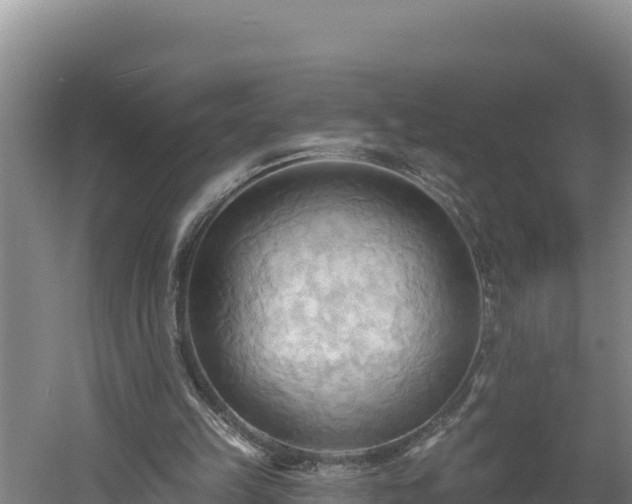 X0000060560149200511101612