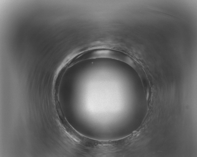 X0000060560150200511101612