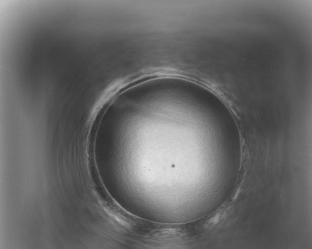 X0000060560151200511101612