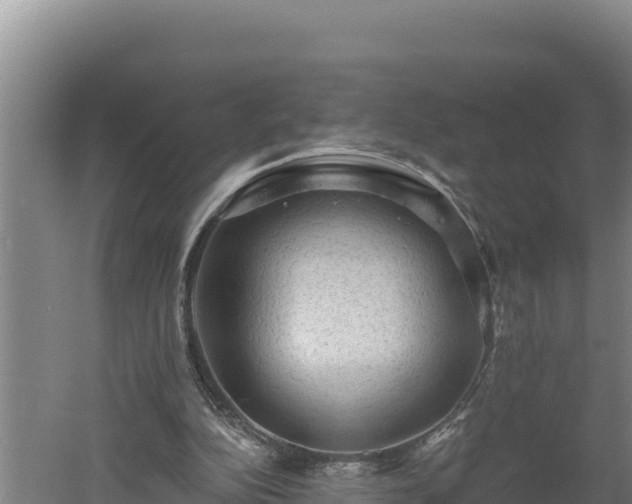 X0000060560152200511101612