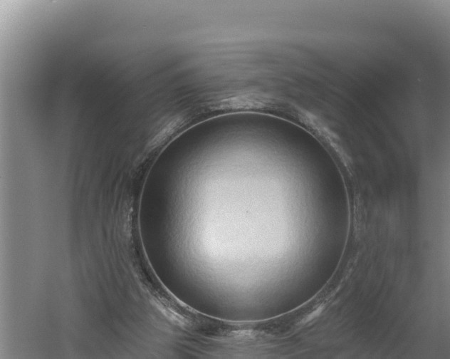 X0000060560153200511101612