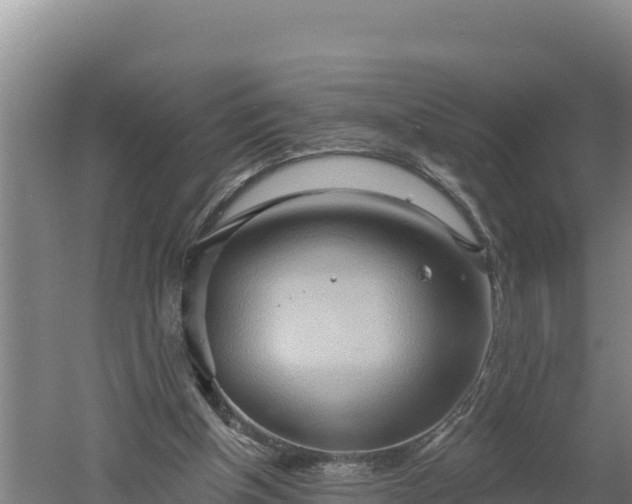 X0000060560154200511101612