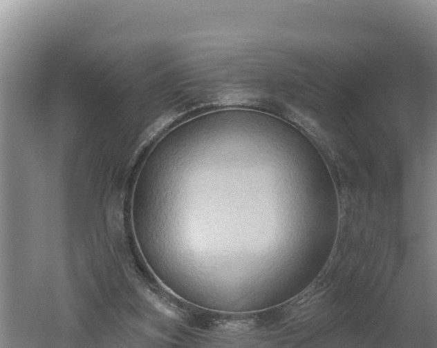 X0000060560155200511101612