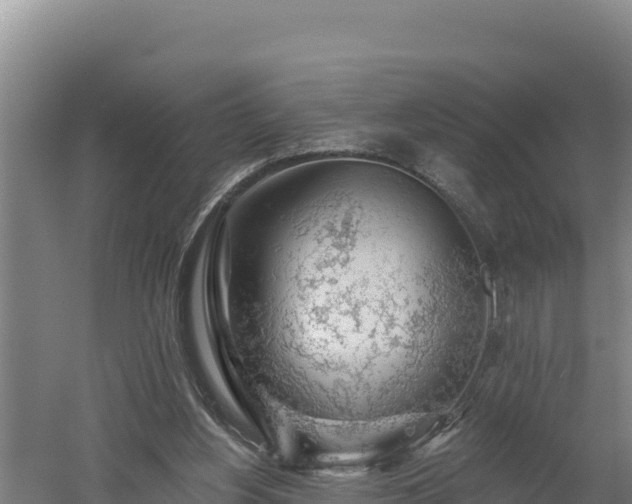 X0000060560156200511101612