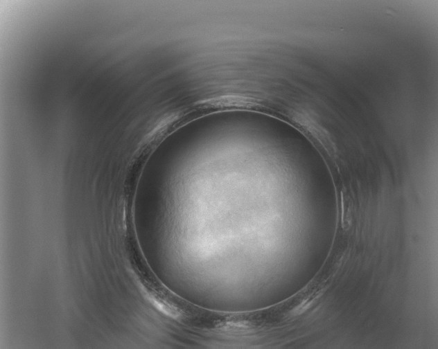 X0000060560157200511101612