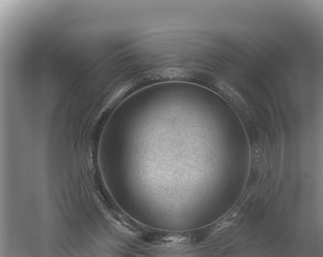 X0000060560158200511101612