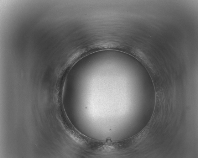 X0000060560159200511101612