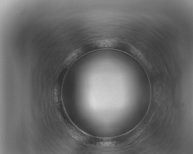 X0000060560161200511101612