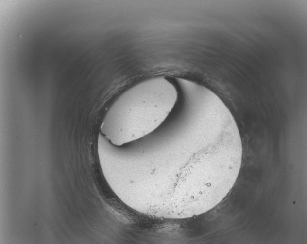 X0000060560162200511101612