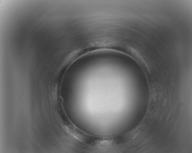 X0000060560163200511101613