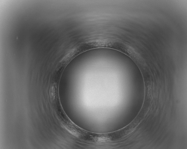 X0000060560165200511101613