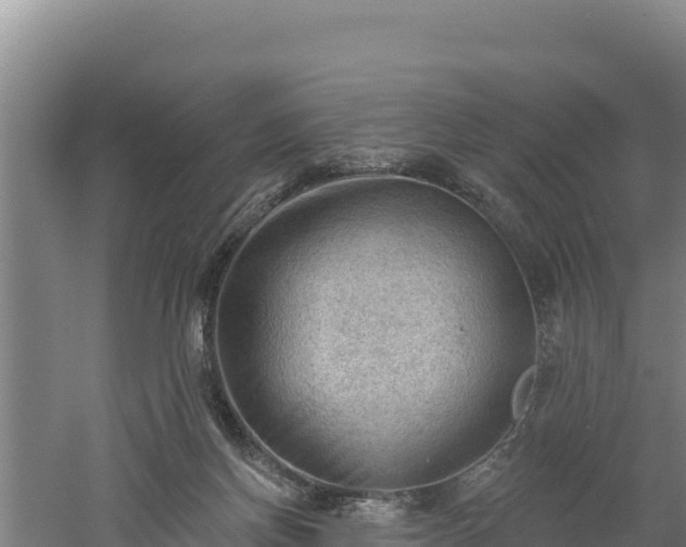 X0000060560166200511101613