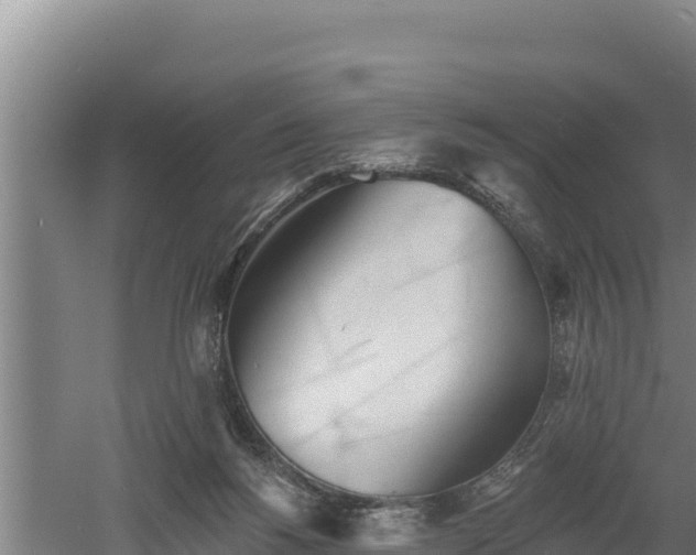 X0000060560168200511101613