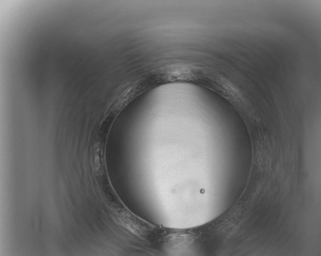 X0000060560169200511101613