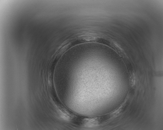 X0000060560170200511101613