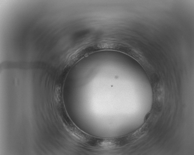 X0000060560171200511101613