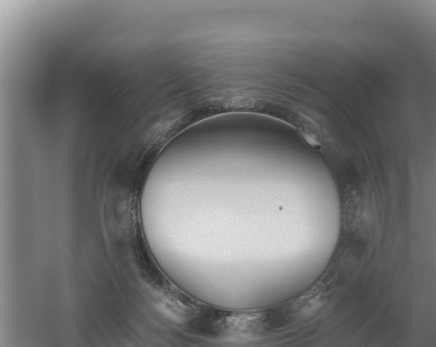 X0000060560172200511101613