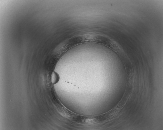 X0000060560173200511101613